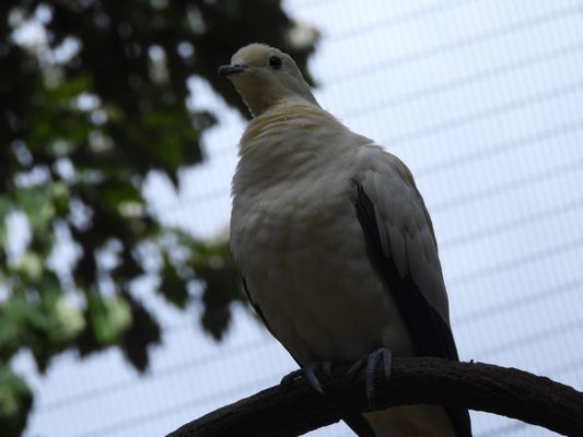 Cincinnati Zoo & Botanical Garden by null