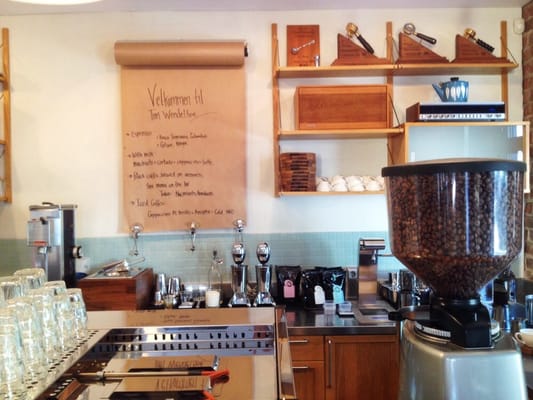 Tim Wendelboe by null