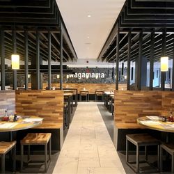 Wagamama - Interior