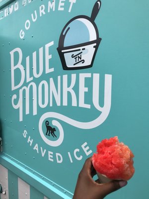 Blue Monkey Shaved Ice by null