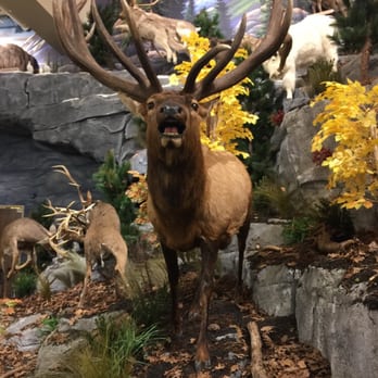 Cabela's - Guns & Ammo Near Me - Berlin, Massachusetts