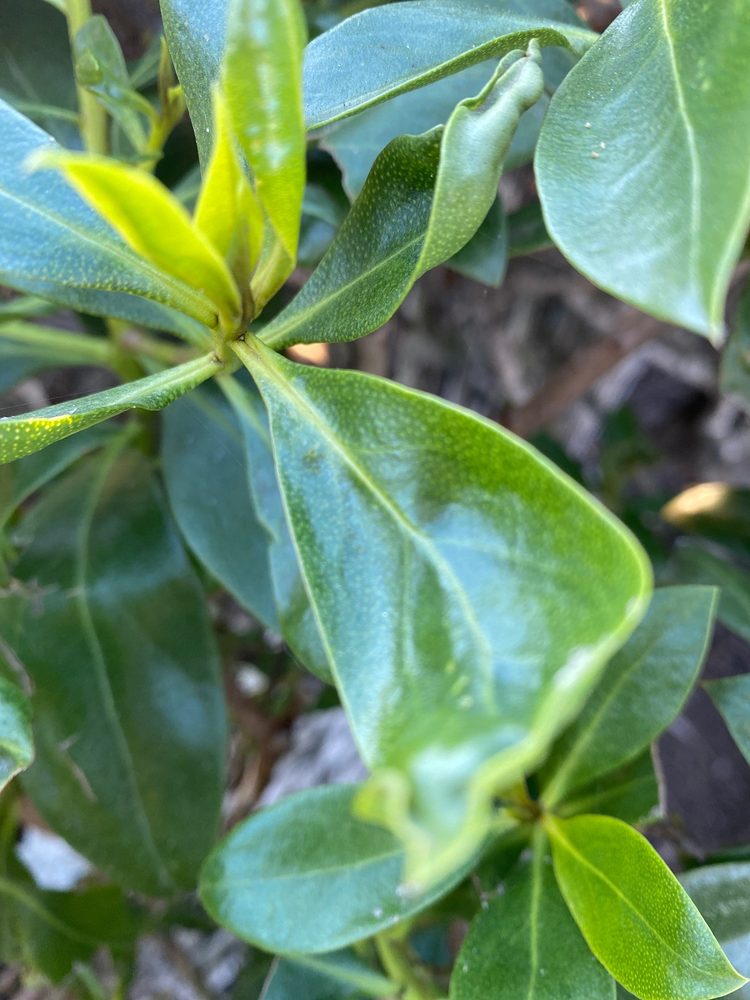 KELLER WILLIAMS REALTY WESTLAKE VILLAGE Updated July 2024 15