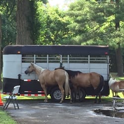 St Ann Park - Horses