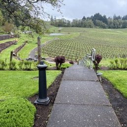 5/5/22 Vineyard 5/5/22 Vineyard