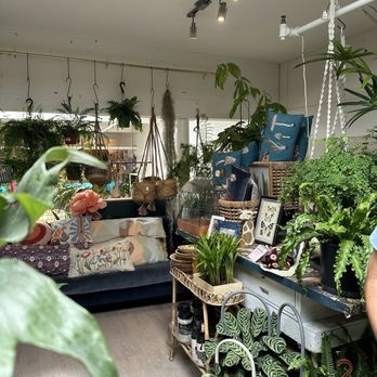Paraíso Plant Studio - Nurseries & Gardening Near Me - Berkeley, California Paraíso Plant Studio - Nurseries & Gardening Near Me - Berkeley, California