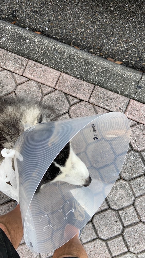 SOUTHWEST VETERINARY CARE CENTER Updated October 2024 19 Reviews