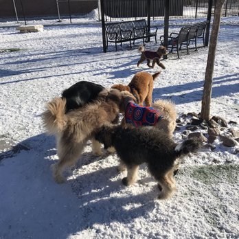 Skinner Bark Park - Dog Parks Near Me - Chicago, Illinois