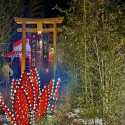 Essex County Turtle Back Zoo - Holiday lights by Amazing Asia section
