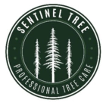Sentinel Tree - Photo - Tree Services Near Me - Crescent Valley, British Columbia Sentinel Tree - Photo - Tree Services Near Me - Crescent Valley, British Columbia