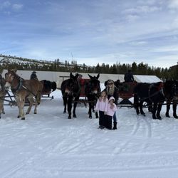 2 Below Zero Dinner Sleigh Rides