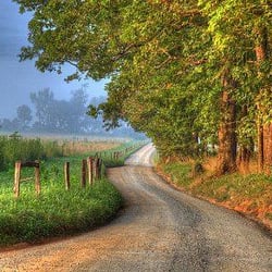 Back Roads Bar and Grill