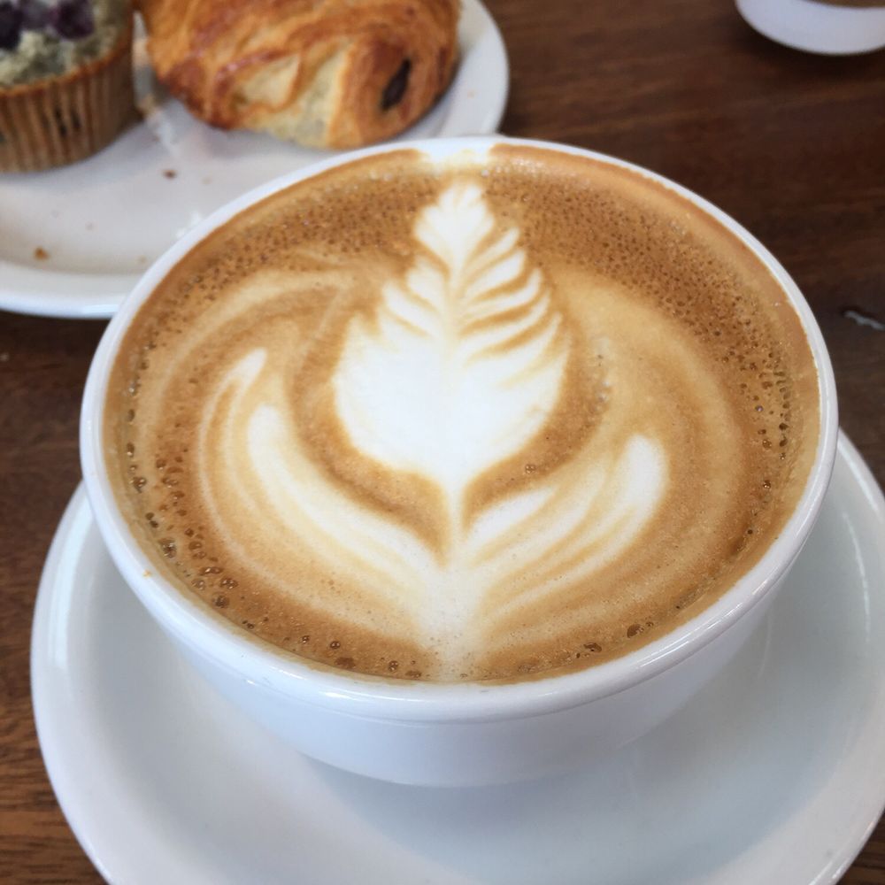 Avid Coffee - Cafes Near Me - Santa Rosa, California