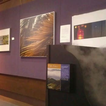 CuriOdyssey - Learn about Bay Area fog. - Zoos Near Me - San Mateo, California