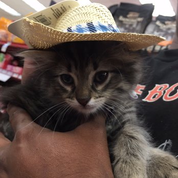 Petco - Trying on his sombrero - Pet Stores Near Me - San Mateo, California Petco - Trying on his sombrero - Pet Stores Near Me - San Mateo, California