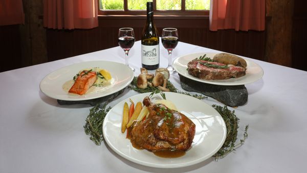 Paradise Inn by null