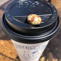 Constellation Coffee Trailer