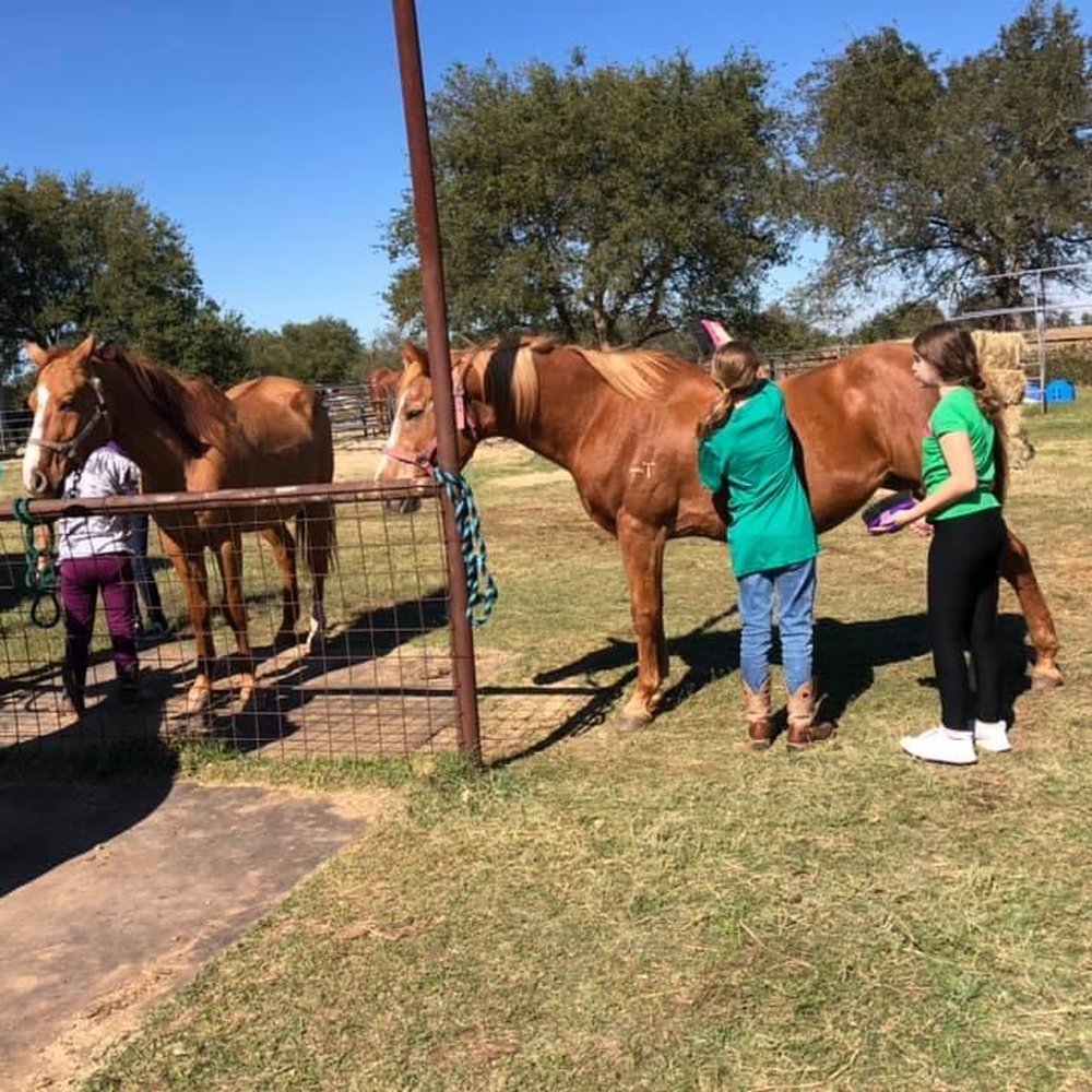 Peaceful Acres TX - Horseback Riding Near Me - Temple, Texas