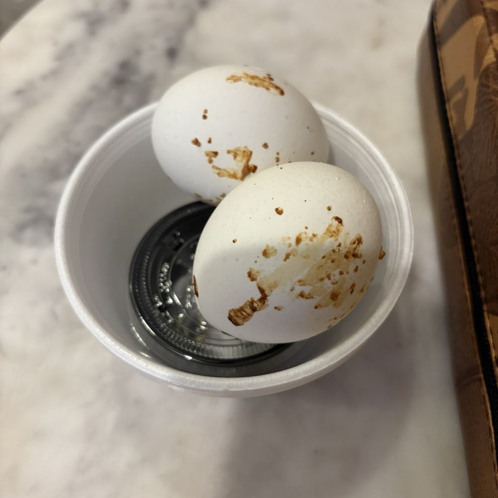 Spa World - Baked eggs - Saunas Near Me - Centreville, Virginia Spa World - Baked eggs - Saunas Near Me - Centreville, Virginia