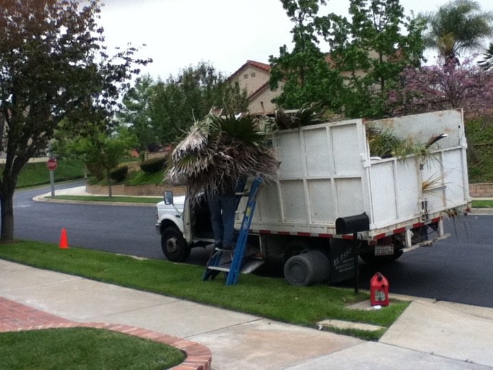 XTREME TREE CARE Updated June 2024 1763 Benedict Way, Pomona, California Tree Services