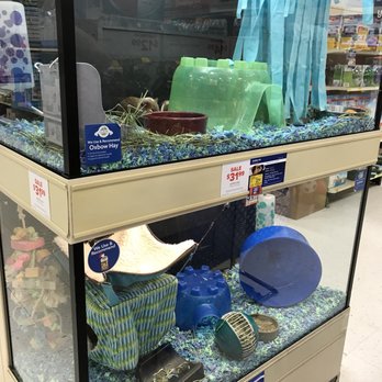 PetSmart - Pet Groomers Near Me - Utica, Michigan