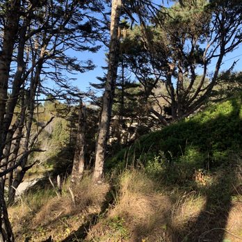 Jug Handle State Natural Reserve - Parks Near Me - Fort Bragg, California