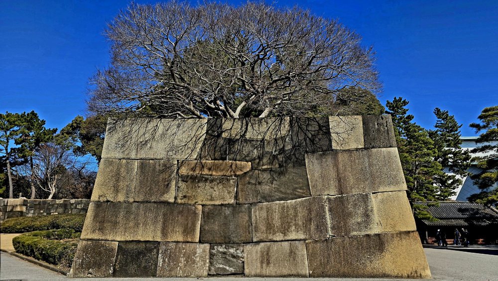 East Garden of the Imperial Palace