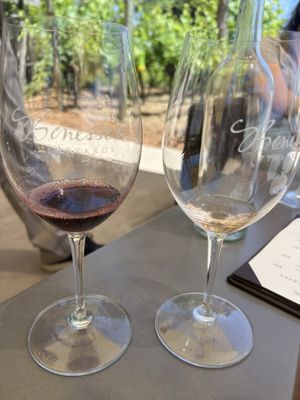 Benessere Vineyards by null