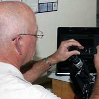 Colonial Optical - Eyewear & Opticians Near Me - Harrisonburg, Virginia