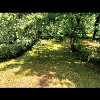 C&S - Yard cleanup - Landscaping Near Me