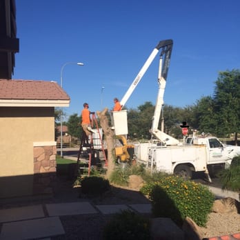 The Oasis Tree Service - Tree Services Near Me - Mesa, Arizona The Oasis Tree Service - Tree Services Near Me - Mesa, Arizona