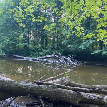 Brown County Park & Pet Exercise Area - Dog Parks Near Me - Green Bay, Wisconsin