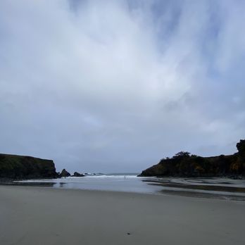 Jug Handle State Natural Reserve - The beach - Parks Near Me - Fort Bragg, California