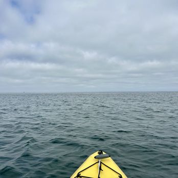Monterey Bay Kayaks - Boating Near Me - Monterey, California Monterey Bay Kayaks - Boating Near Me - Monterey, California