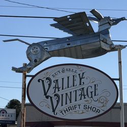 Valley Vintage Thrift Shop - Best sign ever!