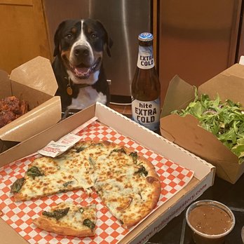Hello Pizza - a dog sitting next to a box of pizza - Pizza Near Me - La Canada Flintridge, California