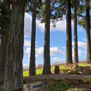 Domaine Drouhin Oregon - Secret Garden. - Wine Tasting Room Near Me - Dayton, Oregon