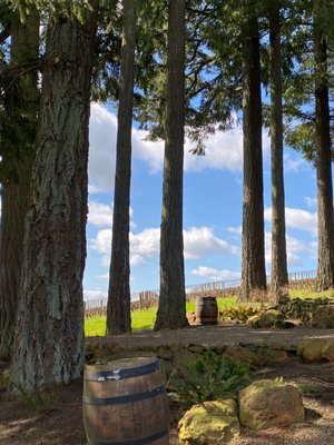 Domaine Drouhin Oregon by null