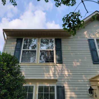RF Green Trees - Tree Services Near Me RF Green Trees - Tree Services Near Me