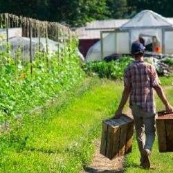 Our Harvest - Growing veggies on the farm in College Hill!