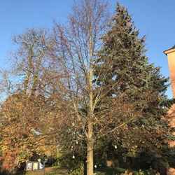 Altes Waschhaus Ribbeck