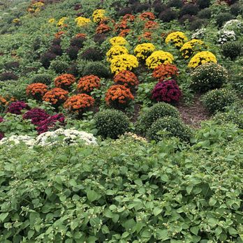 Ott's Exotic Plants - Nurseries & Gardening Near Me - Schwenksville, Pennsylvania Ott's Exotic Plants - Nurseries & Gardening Near Me - Schwenksville, Pennsylvania