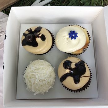 Georgetown Cupcake - Mocha fudge, peanut butter fudge, coconut, and blueberry cheesecake - Cupcakes Near Me - Washington, DC, District of Columbia