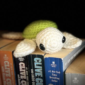 Andrew's Book Sack - Cute little crochet turtles, I have one in my car that I bought - Bookstores Near Me - Slidell, Louisiana Andrew's Book Sack - Cute little crochet turtles, I have one in my car that I bought - Bookstores Near Me - Slidell, Louisiana
