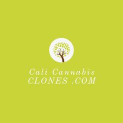 CaliCannabisClones