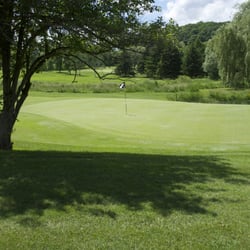 Dalewood Golf Club - Number 13 from behind the green