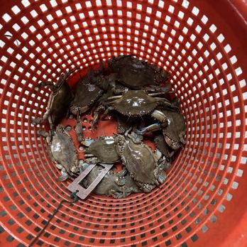 First Due Charters - Fishing Near Me - Emerald Isle , North Carolina