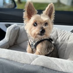 Peninsula Pet Hospital