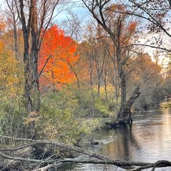 Love Creek Nature Center