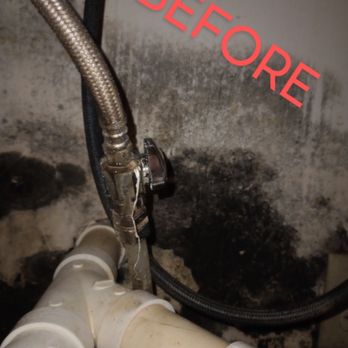 All Things Considered WI - Black mold and leaking drain - Handyman Near Me All Things Considered WI - Black mold and leaking drain - Handyman Near Me