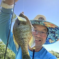 Caught with my new rod at Santee Lake #3.